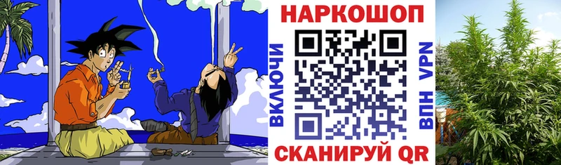 НБОМе Новосокольники