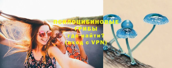 твердый Новокубанск