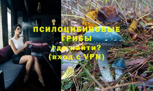 метадон Гусев