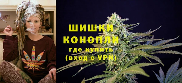 крисы Гусь-Хрустальный
