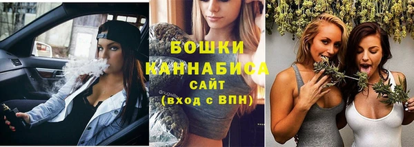 метадон Гусев