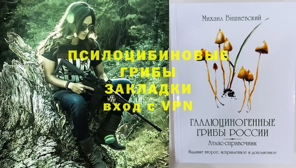 бошки Новозыбков