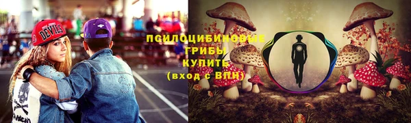 метадон Гусев